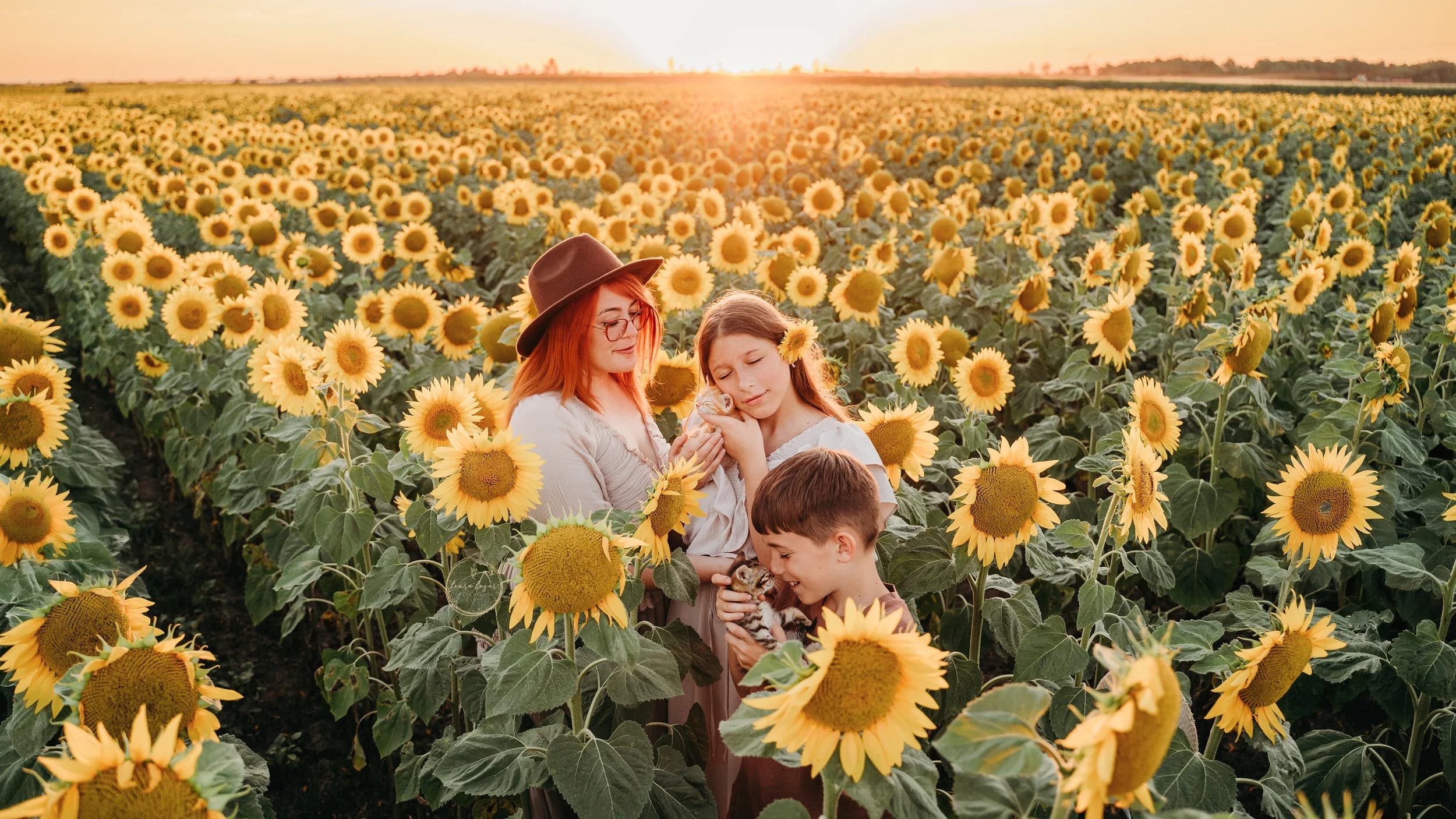 O familie împreună într-un câmp larg de floarea-soarelui